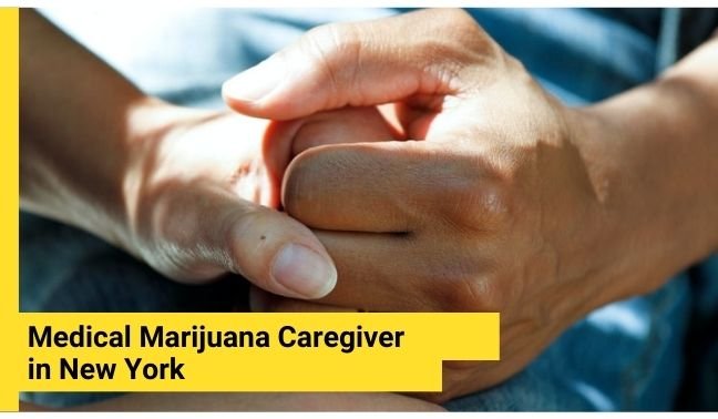 How To Become A Licensed Marijuana Caregiver In New York